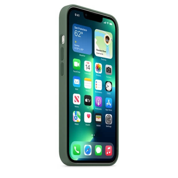 Чехол для Apple iPhone 13 Pro Max Silicone Case Eucalyptus_2