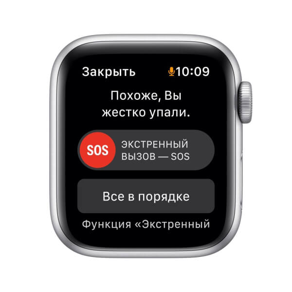 Смарт-часы Apple Watch SE 40mm Серебристый_4