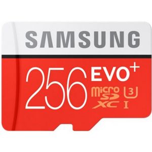 Карта памяти microSD EVO Plus 256GB SAMSUNG_0